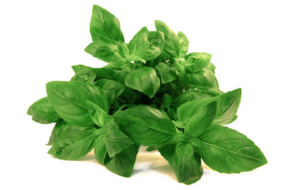 Here are simple tips on how to grow, care for, and store basil.