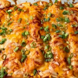Veggie + Chicken + Black Bean Enchiladas
